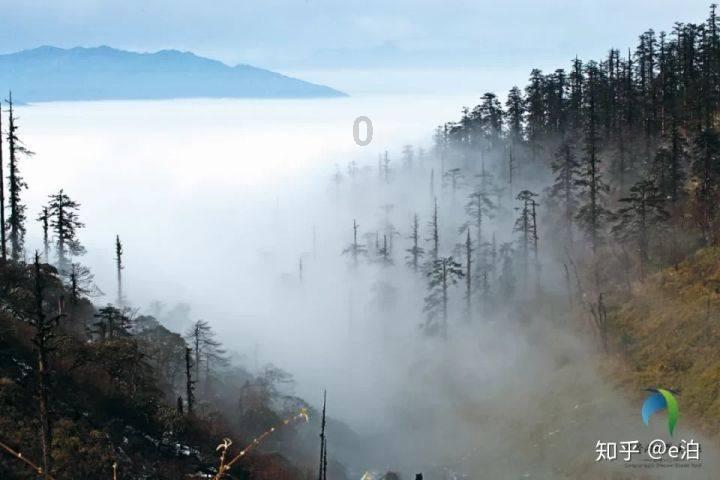 探索青交所交易平台下载平台,获取专业知识的乐园